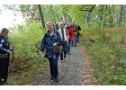 Guided Walk in Djurgården